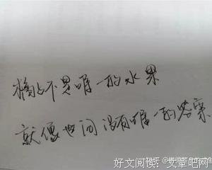 《我曾这去会深切爱过你》小说摘抄大全