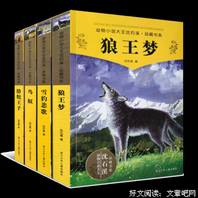 佚名照读后感100字