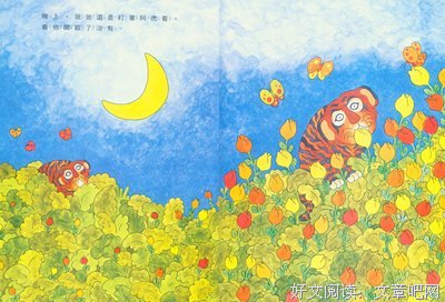 《阿虎开窍了》读后感摘抄