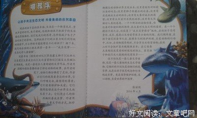 《X探险特工队：海洋绝命迷踪 大白鲨×剑鱼》经典读后感有感