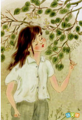 《世界史纲》读后感精选