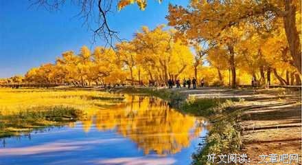 关于相依为命的格言