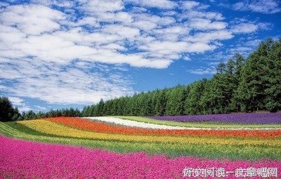 耿耿于怀的语句摘抄_关于耿耿于怀的语句