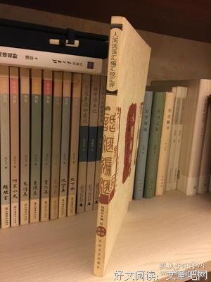 人间词话：汇编、汇评、汇校本读后感精选