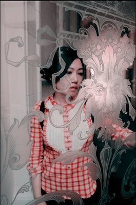 水仙已乘鲤鱼去的读后感大全