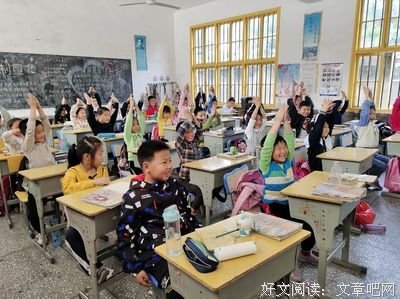 《少年小树之歌》读后感锦集