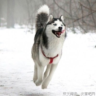 关于没完没了名言名句
