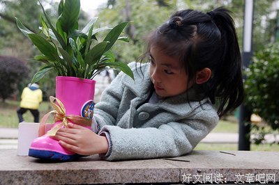 《窗台上的薄荷草》读后感摘抄