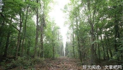 感动经典名句