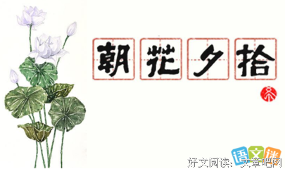 朝花夕拾好词好句
