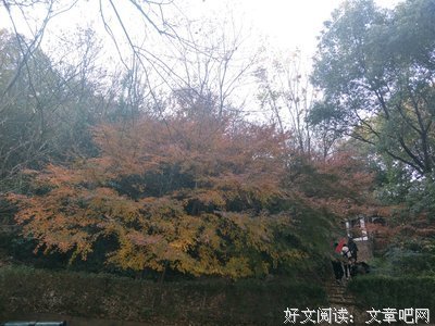诗词，亘古的还有忆