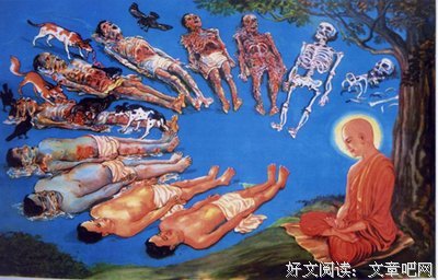 有关十出对而里没果轮回的句子