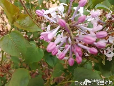 有关王绩名言大全