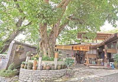 最全的《南得事小筑》经典语录
