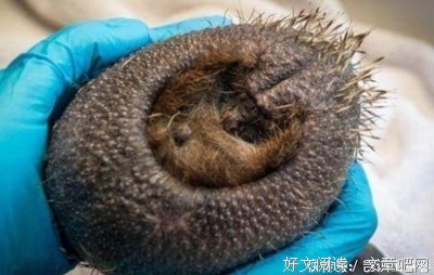 最新的《外你拿男人不当动物》经典语录大全