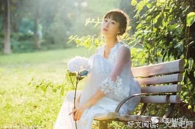 最全的《花间一枝禅》名句欣赏
