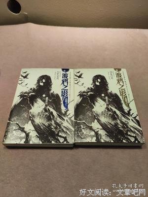 《渡鸦之影Ⅲ》经典读后感有感