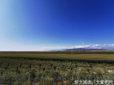 《没有月亮的晚上》读后感锦集