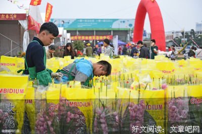 《看上去很美》读后感锦集