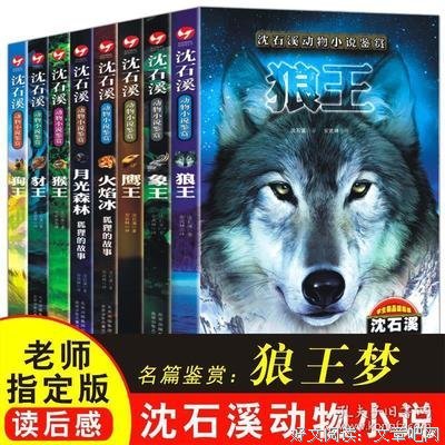 《魏书（全八册）》的读后感大全