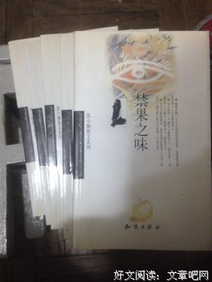 《思念里的流浪狗》读后感1000字