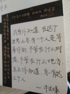 《我的姊姊张爱玲》读后感摘抄