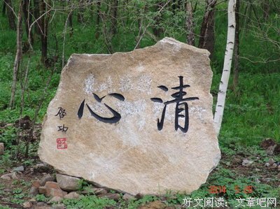 《迦陵论诗丛稿》的读后感大全