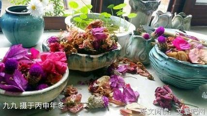诗醒了｜那在诗里反复遇见的人呐