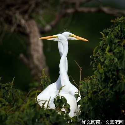 《向左走·向右走》读后感锦集
