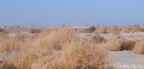 《空中浩劫 第十三季》好看吗？经典观后感锦集