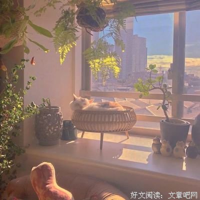 描写触目惊心的语句摘抄