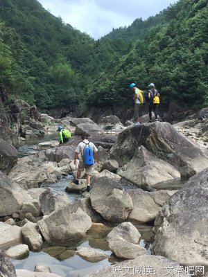 《杨梅洲》观后感精选