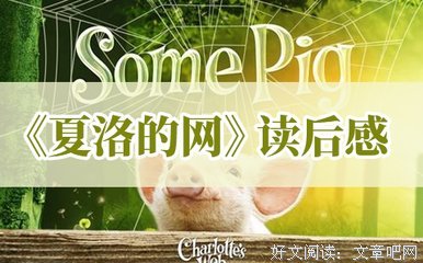 思考读后感1000字