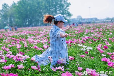 词芳菲，诗翩跹