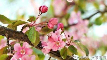 有关你中有我，我中有你。的句子