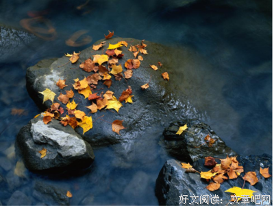 《我言》的句子