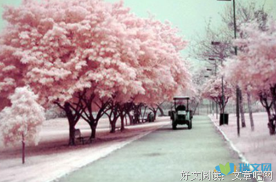 优美句子