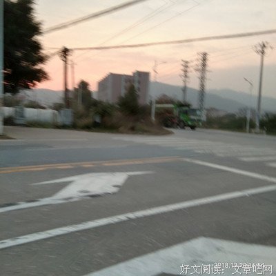 站在彼岸，等待花开句子