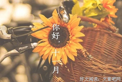 《不念过去，不畏上下来》的句子