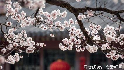 关于知白名言