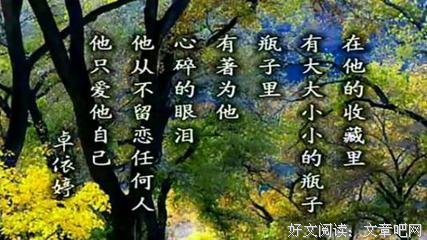 最新的《一腔诗意喂了狗》经典语录大全