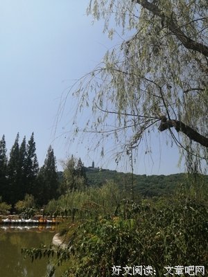 《时髦的秋裤》影评100字