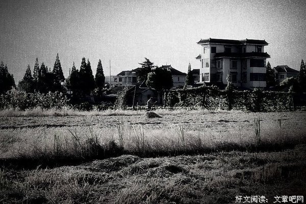 凄凉的句子