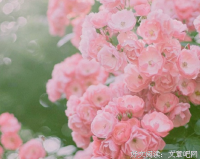 伴随一生是心情经典的句子