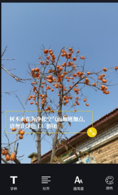 名言库