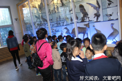 关于喜欢的的句子