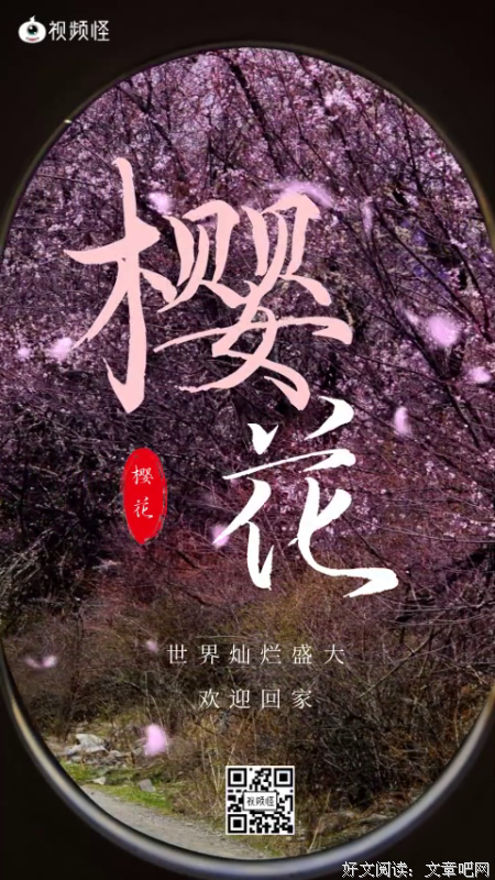 最经典的《去小来却只告白》小说句子大全