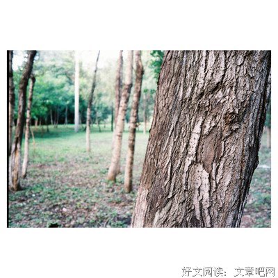 《霰雪》好看吗？经典观后感锦集
