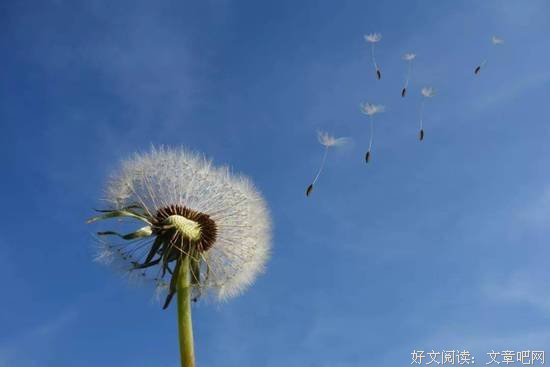 生活，从简单开始，向美好出发 