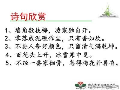 零落成泥碾作尘经典的句子